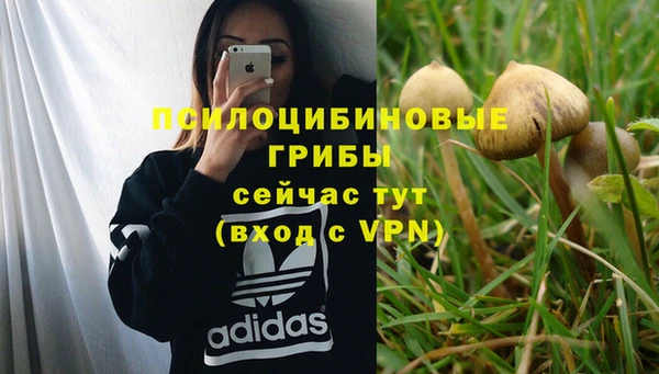 2c-b Володарск